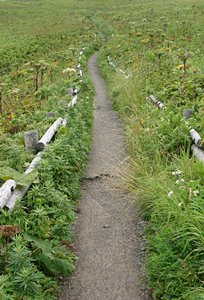 高原の野辺道(ポートレート)