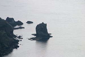 航海に行きたかった猫