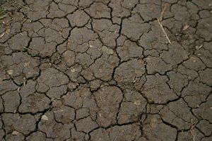ひび割れた土塊