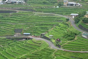 水車のある棚田