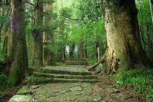 熊野古道(ランドスケープ)