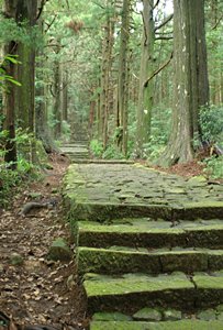 苔の古道(ポートレート)