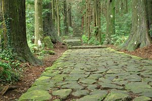 苔の古道(ランドスケープ)