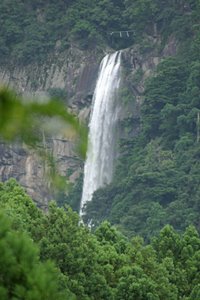 森の中・那智の滝