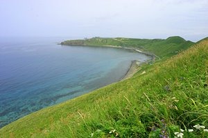 ネイチャーアイランド