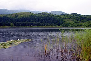 湖沼の昼下がり