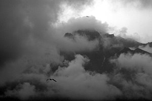 心に陰が忍び寄ろうとも