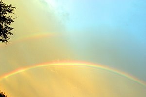 ファンタジー・レインボー