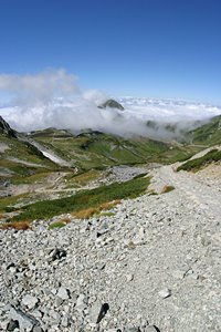 歩いていこうよ