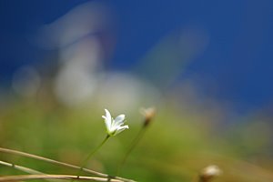 スポットライト高く