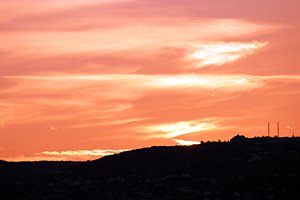 オレンジの明日