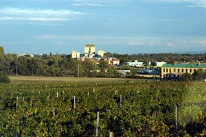 ワインのふるさと