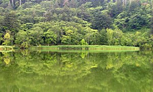 緑の湖沼