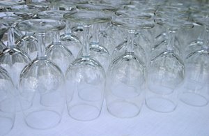 グラスの林（ランドスケープ）