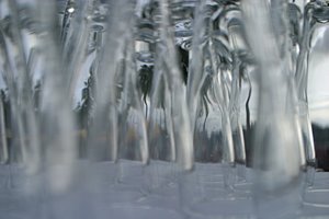 椰子の木陰でパーティーを