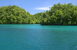 ジャングルと青緑の海