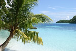 ドリーム・バカンス