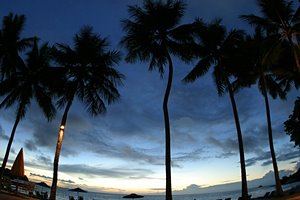 カクテルパーティーがはじまる