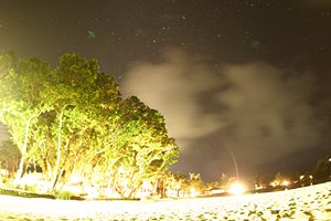 ミラクルナイトの煌めき