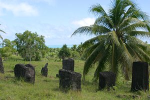 椰子を囲むモノリス