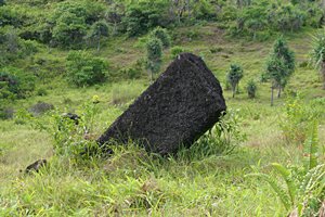 斜に構えるモノリス