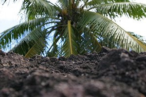 早く落ちてこないかな？