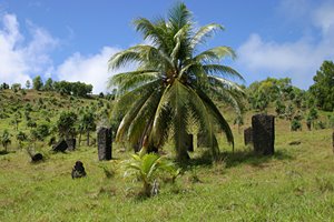 神と精霊の会議場