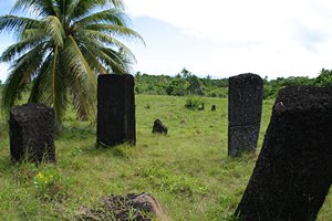 精霊たちの声が聞こえる