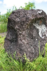 ストーンフェイス