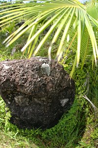 暑い日は傘をさして