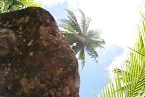 炎天下にひとり