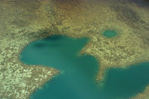 珊瑚礁に抱かれて