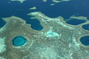 コーラルブルー