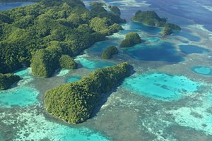 珊瑚とアイランド