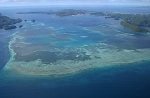 珊瑚の浅瀬と陸地