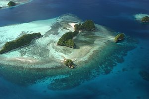 サウスアイランド・ドリーム