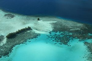 珊瑚の上に浮かぶ