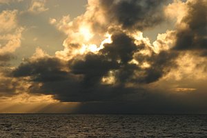 スコールの前の輝き