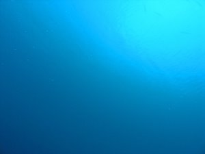 グラデーション・ブルー