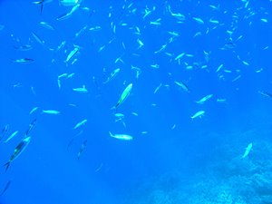 レッツ、ダンス！