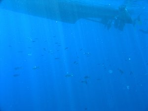 スクリュー音が聞こえる