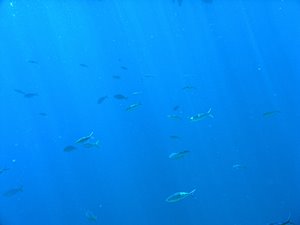 上下左右のない世界