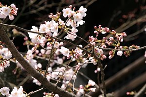 心地よい光を浴びて