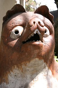 信楽から来た珍客