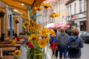 カフェテラスの花