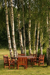 語らいの場(ポートレート)