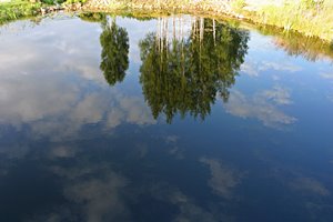 逆さまの世界へ