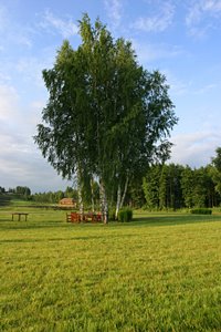 ちょっと一休み(ポートレート)