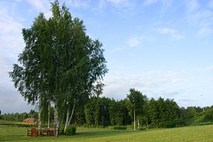 ちょっと一休み(ランドスケープ)