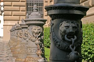 ライオンの群れ